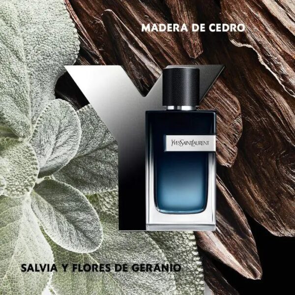 photo_2026-01-07_18-03-00 Y Eau de Parfum